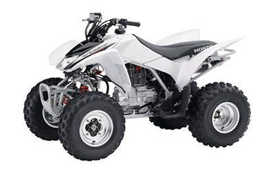 Honda TRX 250 ATV Rental